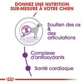 Royal Canin Aliment Sec Chien Giant Adult 15 Kg